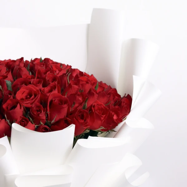 A large bouquet of 100 deep red roses elegantly wrapped in white paper.