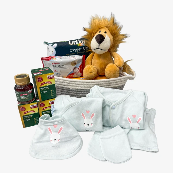 Baby gift basket with lion plush, baby clothes, wipes, and traditional medicine bottles.