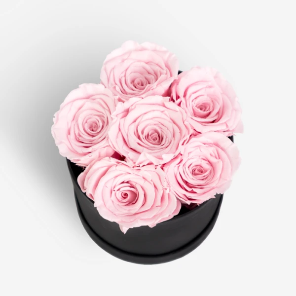 Black box filled with six delicate pink preserved roses.