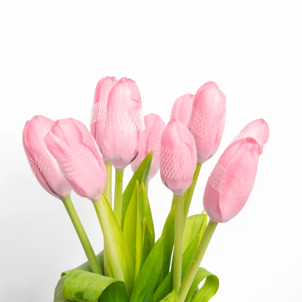Close-up of pink tulips with protective mesh covers in a vase, against a white background.