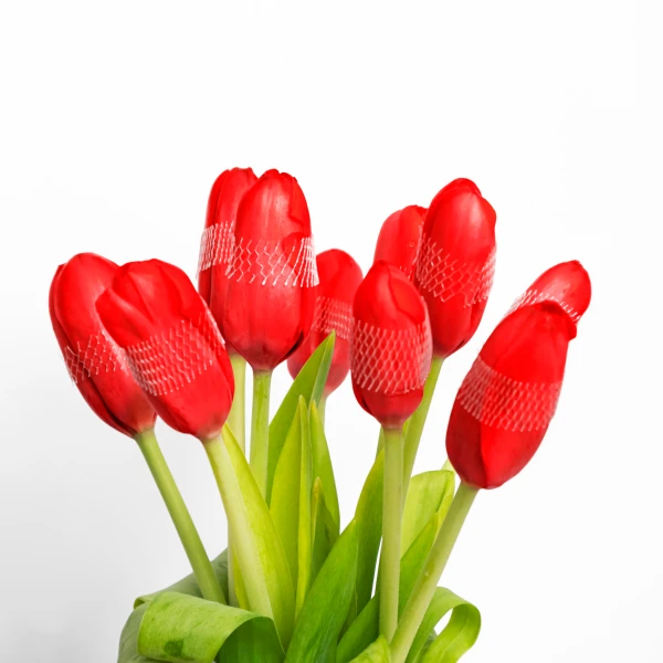 Red tulips with protective netting on their blooms, arranged in a vase with green leaves.