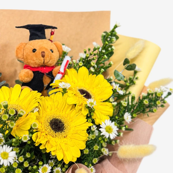 The Graduate - Standard