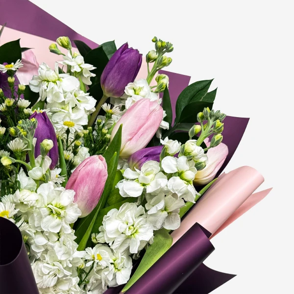 A bouquet of purple and pink tulips, white matthiolas, and green leaves with purple and pink wrapping.