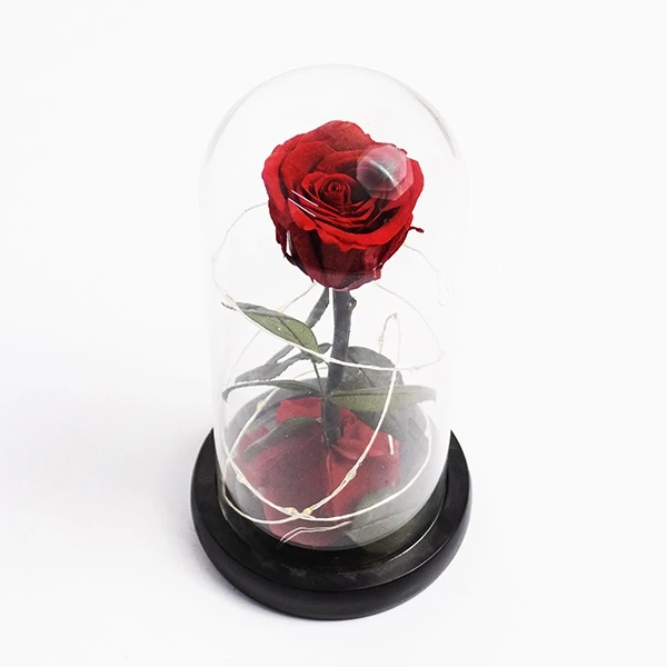 Red rose preserved under a glass dome with fairy lights on a black base.