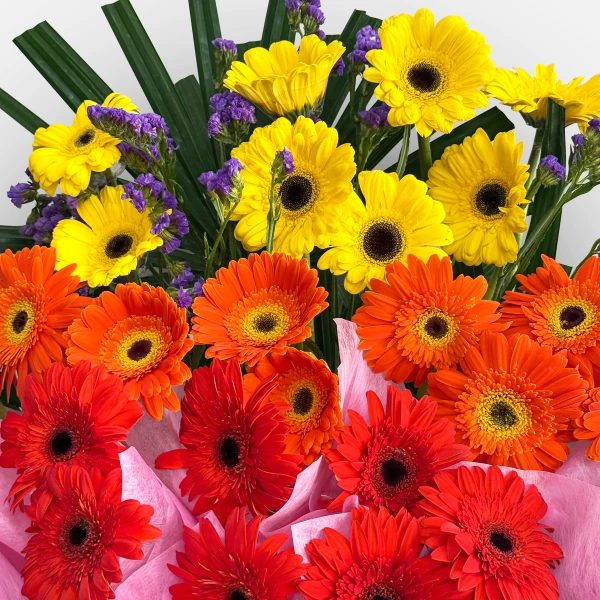 Vibrant bouquet of yellow, orange, and red gerbera daisies with purple accents.