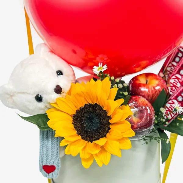 Sunny Apple Bear 2