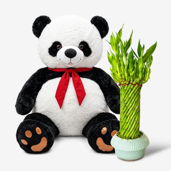 Lucky Panda Bundle - Standard