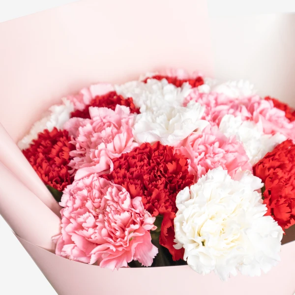 A bouquet of red, pink, and white carnations wrapped in soft pink paper.