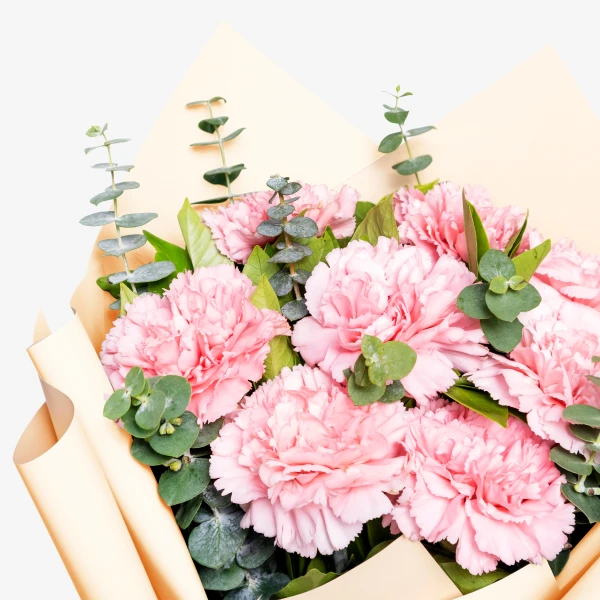Pink carnations and eucalyptus leaves in a soft peach bouquet wrap.