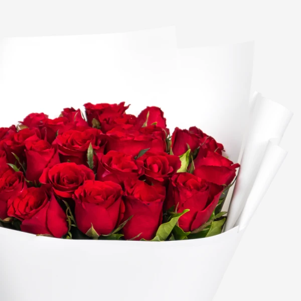 Bouquet of 24 vibrant red roses in white paper wrapping against a white background.