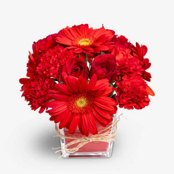 A compact glass vase filled with red roses, carnations, and gerbera daisies tied with twine.
