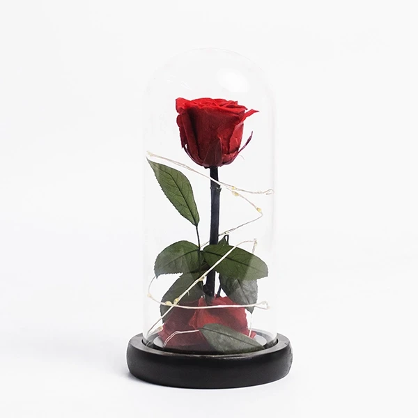 Preserved red rose in a glass dome with fairy lights, on a black base.