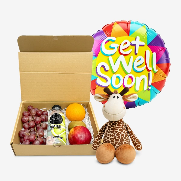 Get Well Soon balloon, plush giraffe, and a gift box with fruit and water.