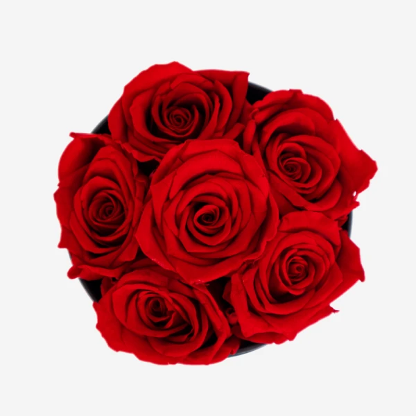 Six deep red preserved roses arranged in a small black cylinder box.