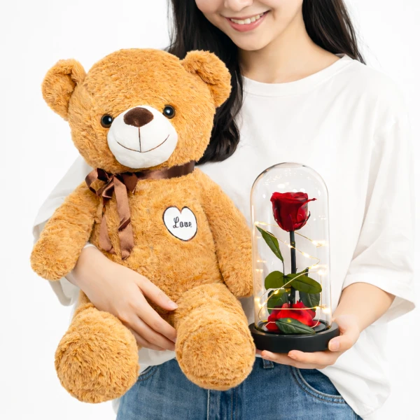 A person holds a brown teddy bear and a glass dome with a red rose and fairy lights.