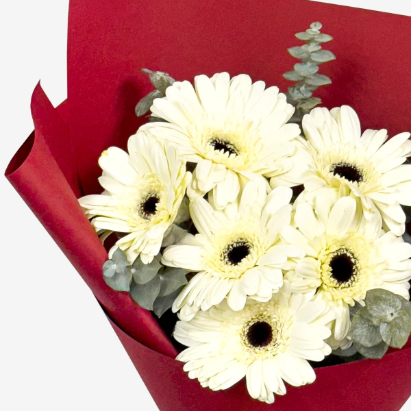 White gerbera daisies and eucalyptus in red wrapping paper.