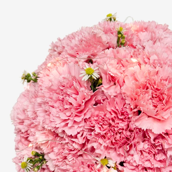 Pink carnation topiary with small white flowers and fairy lights.