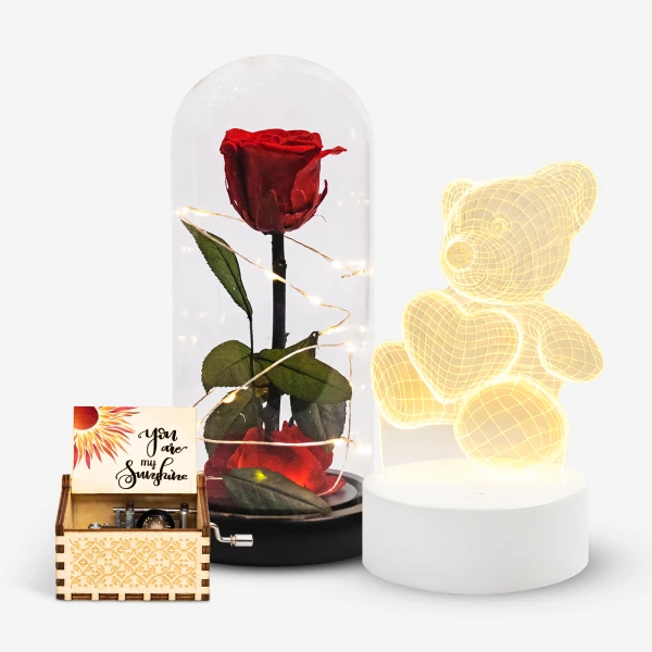 Preserved red rose in a dome with fairy lights, a light-up teddy bear with a heart, and a wooden music box.