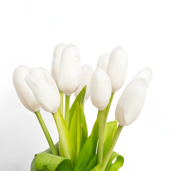 A bouquet of white tulips with green leaves, set against a white background.