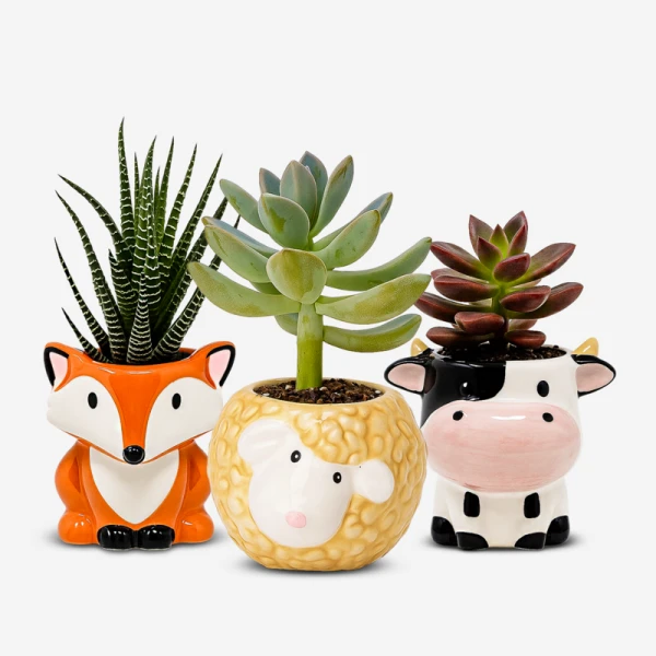Three cute animal succulent planters: fox, sheep, and cow, on a white background.