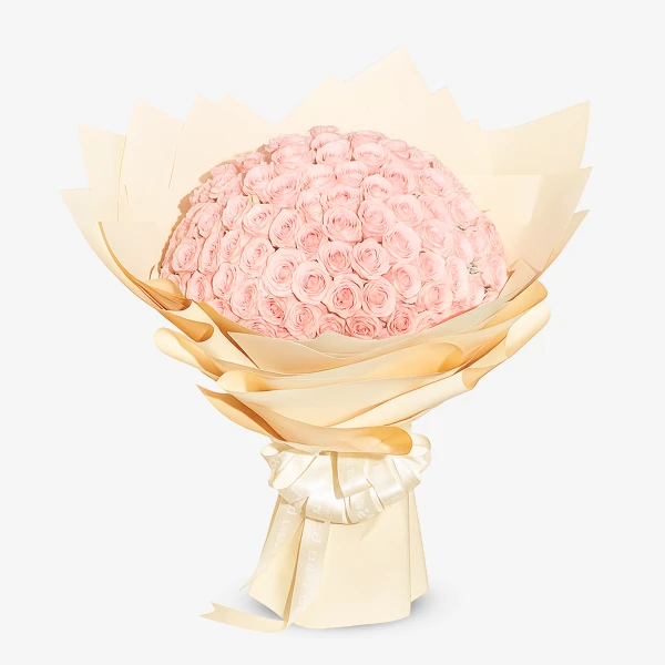 A large bouquet of 99 soft pink roses with cream-colored paper wrapping and a satin ribbon.