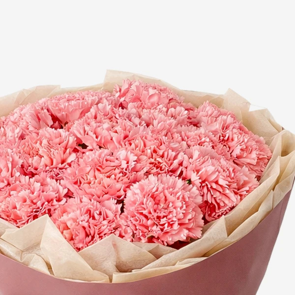 A large bouquet of soft pink carnations wrapped in brown paper.