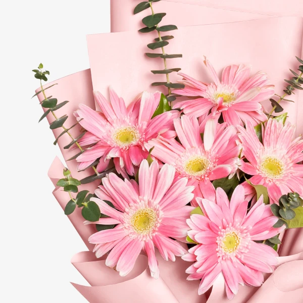Pink gerbera daisies with eucalyptus in pink paper wrapping.
