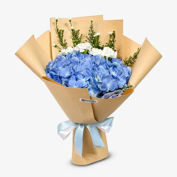 Blue hydrangeas, white carnations, and asters in brown paper with a blue and white ribbon.