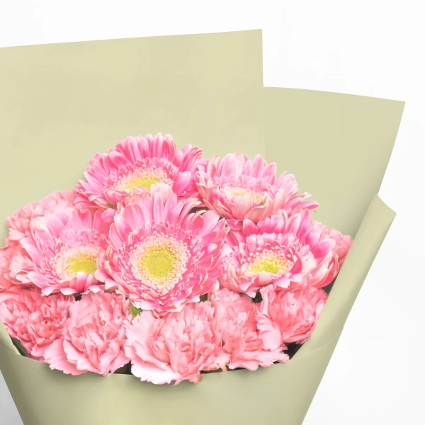 Pink gerbera daisies and carnations in a light green bouquet wrap.