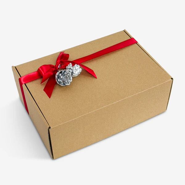 Brown gift box with red ribbon, bow, and silver pinecone decorations.