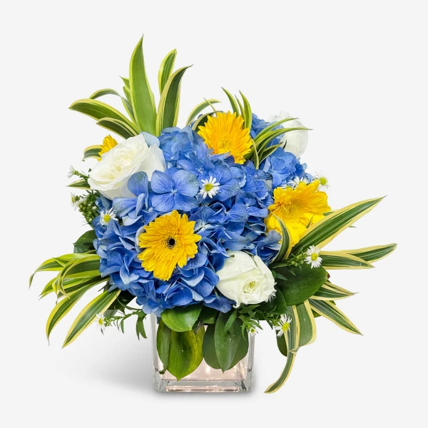 A square glass vase holds a vibrant bouquet of blue hydrangeas, white roses, yellow gerbera daisies, and green foliage.