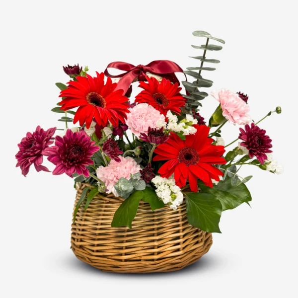 Basket of red gerberas, pink carnations, and violet chrysanthemums with a red ribbon.