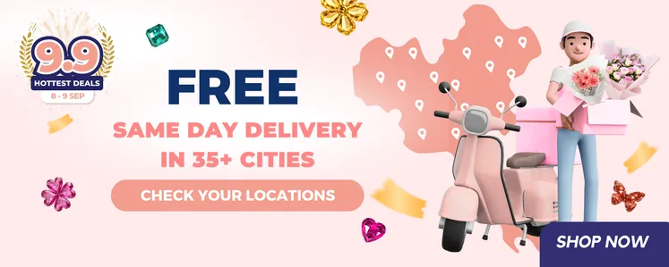 9.9 Hottest Deals