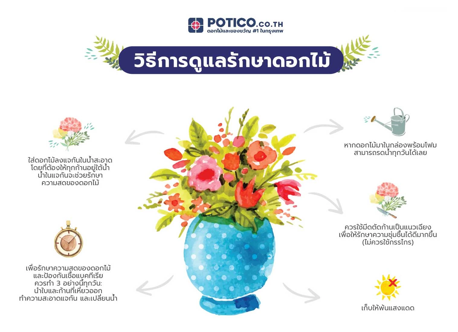 Flower Care Instructions Infographic