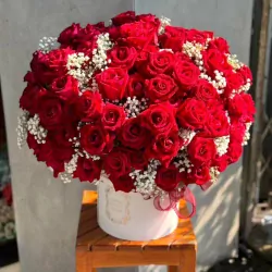 Scarlet Harmony Flower Box