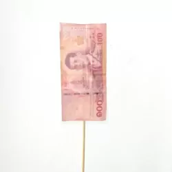 Add 100 Baht