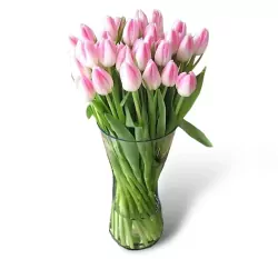 30 Pink Tulips In A Vase