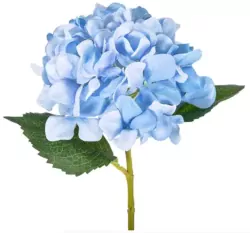 Add One Hydrangea