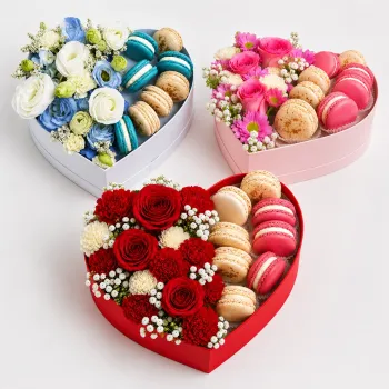 Pink Macaron Box