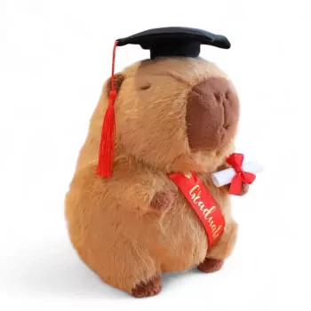 Capibara Grad Doll
