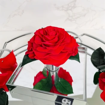 Preserved Rose in Acrylic Box