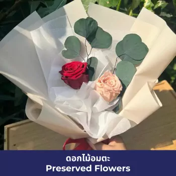 Duo of Everlasting Blooms
