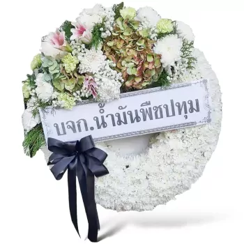 ชุดทดลองวิทยาศาสตร์เคมี