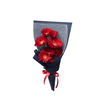 Red Gerbera Gift Bouquet For Sunday: Velvet Dreams