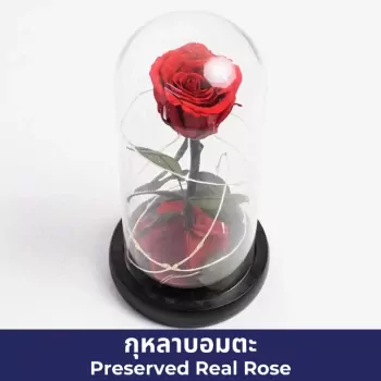 บิวตี้ แอนด์ เดอะ บีสต์ โรส