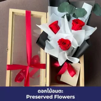 Trio of Eternal Roses