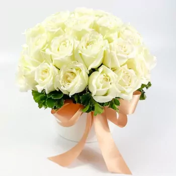 White Fairy Box