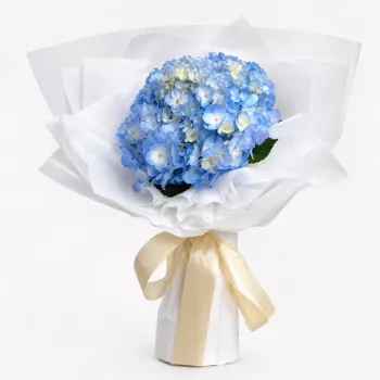Crystal Blue NCC