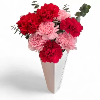 Pink and Red Carnations Bouquet