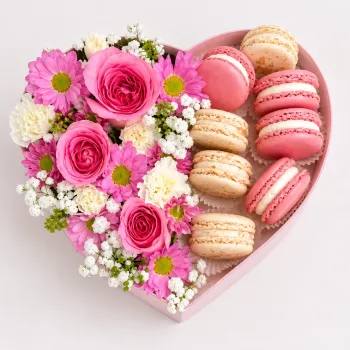 Macaron Box